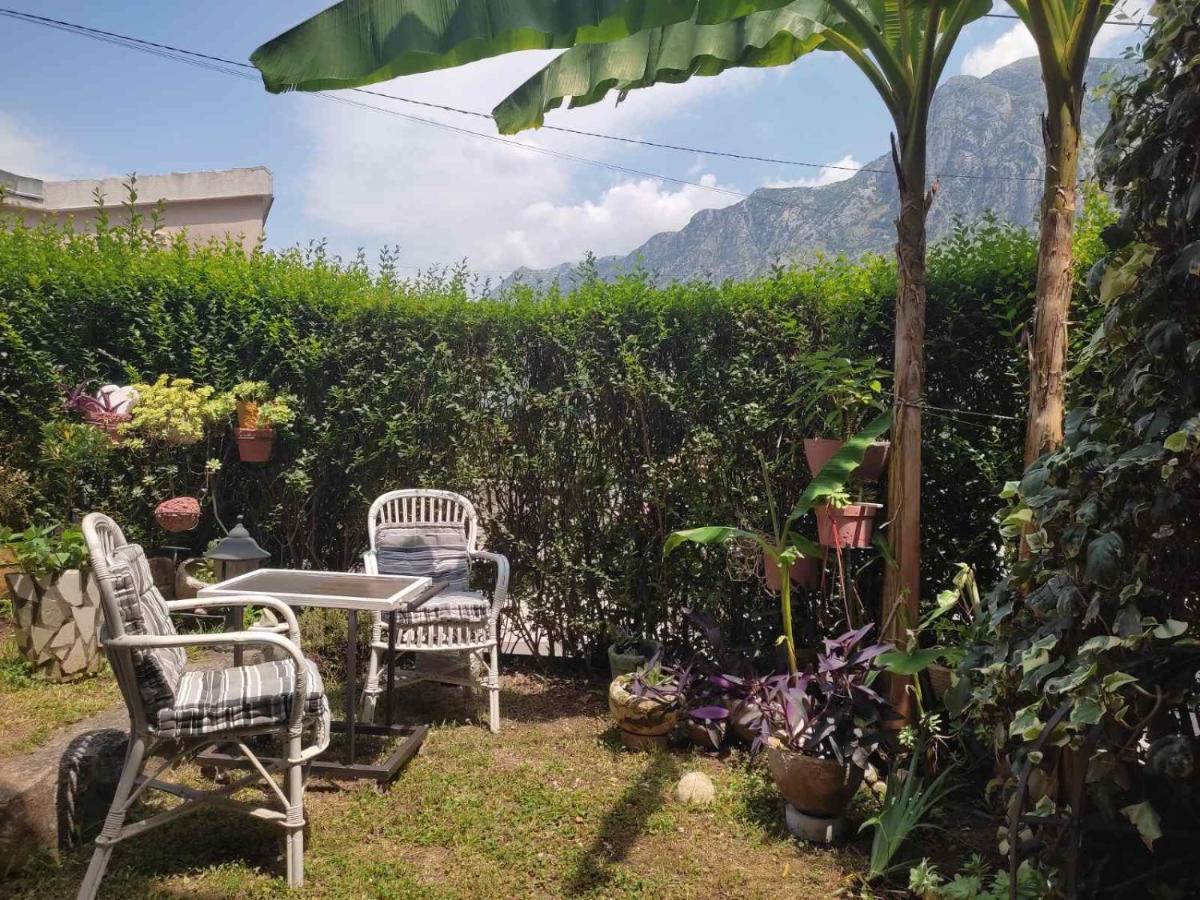 Apartman Art Kotor Zewnętrze zdjęcie